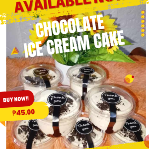 Chocolate Ice Cream Cake